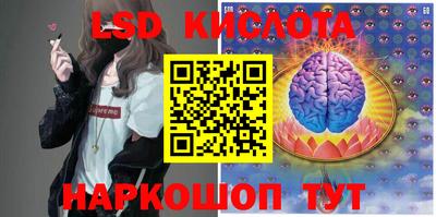 винт Кимры