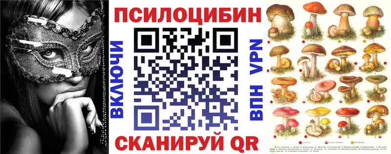 Псилоцибиновые грибы мицелий  закладка  Нижний Тагил 