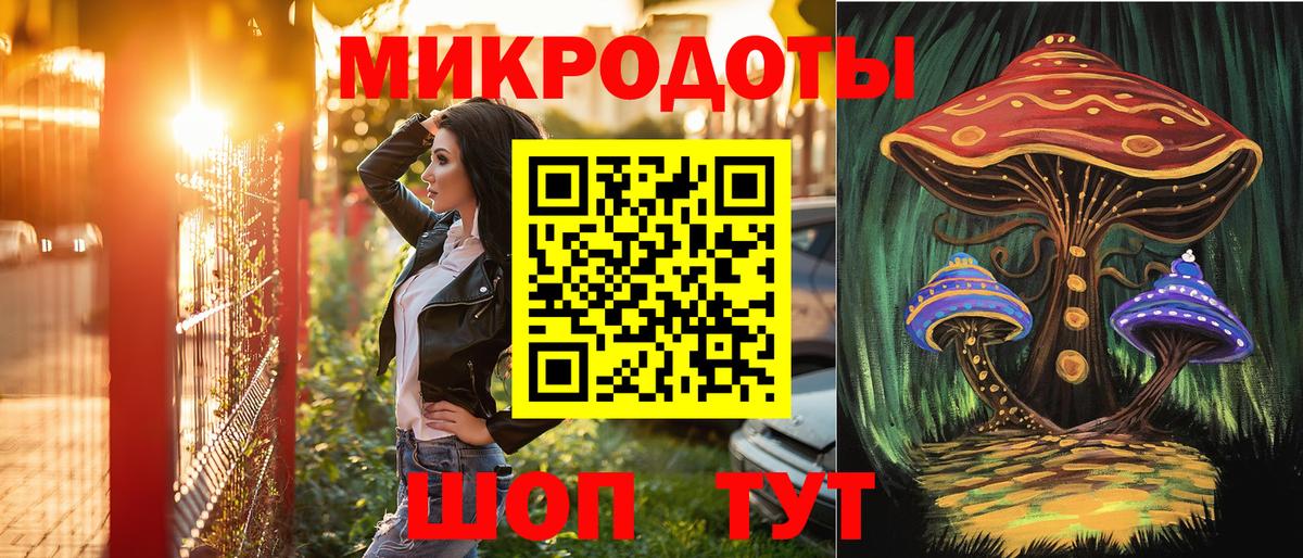 Псилоцибиновые грибы Psilocybine cubensis Нижний Тагил