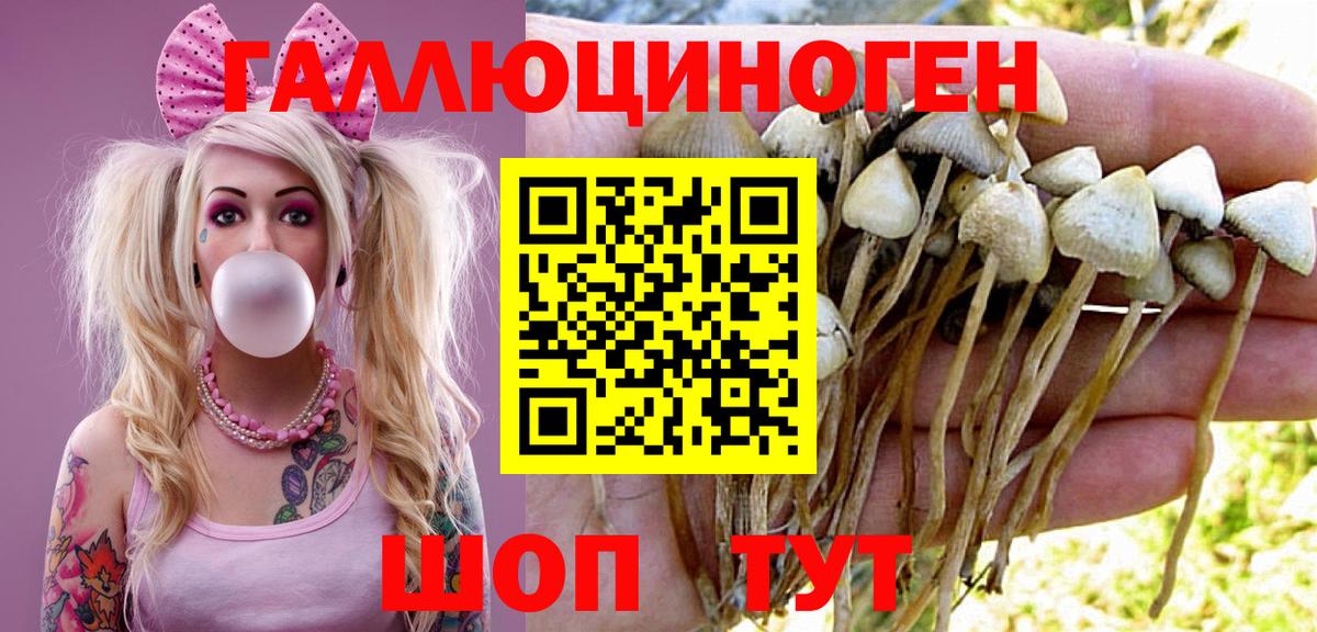 купить наркотики цена  Вход с VPN  Нижний Тагил  Псилоцибиновые грибы мухоморы 