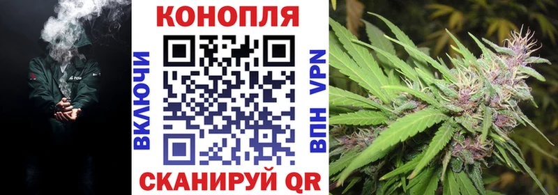 Марихуана план  Нижний Тагил 