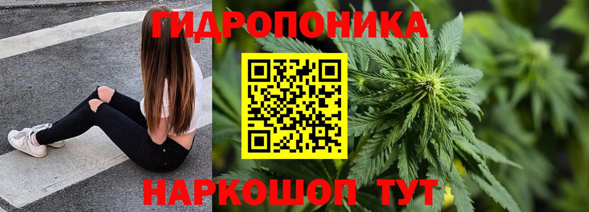 МАРИХУАНА план  Шишки марихуана план  Вход с VPN  Бошки Шишки THC 21%  Нижний Тагил 